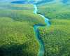 Numele fluviului Amazon, din America de
Sud, vine de la tribul Amazoanelor,
femeile luptatoare care se spune ca au
trait in bazinul Marii Negre. Atunci
cand cuceritorul statului Peru,
Francisco ...