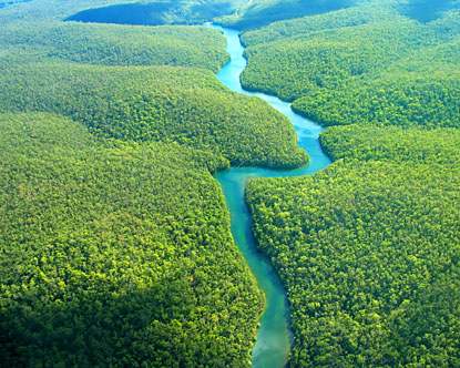 Numele fluviului Amazon, din America de Sud, vine de la tribul Amazoanelor, femeile luptatoare care se spune ca au trait in...