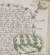 Manuscrisul lui Voynich, cifrat
misterios si nedescifrat de sute de ani,
a fost declarat cel mai bizar document
descoperit pana acum.  Numit
dupa numele celui care l-a descoperit
intr-un castel din ...