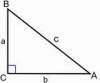 Teorema lui Pitagora - intr-un triunghi
dreptunghic suma patratelor catetelor
este egala cu patratul ipotenuzei (in
imagine, a<sup>2</sup> + b<sup>2</sup> =
c<sup>2</sup>), a fost formulata ...
