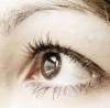 Despre ochi: o persoana normala clipeste
in medie de 12 ori pe minut.