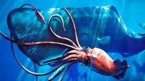 Cel mai mare ochi din lume, 28 de centimetri in diametru (de marimea unei mingi de baschet), apartine unui calamar urias...