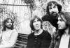 In primavara anului 1971 formatia Pink
Floyd a reusit sa omoare cu muzica lor
pestii dintr-un lac din apropiere. S-a
intamplat la Londra, la London’s
Crystal Palace Bowl. De vina nu a ...