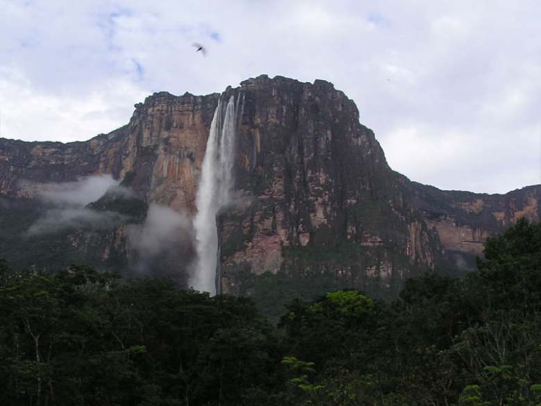 Cea mai inalta cascada din lume este Cascada Angel (Cascada Ingerului), situata pe un afluent al fluviului Orinoco din Venezuela,...