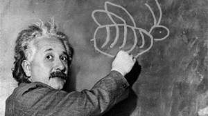 Albert Einstein ar fi prezis ca daca albinele ar disparea brusc, din diverse cauze, omenirea ar mai supravietui pentru doar inca...
