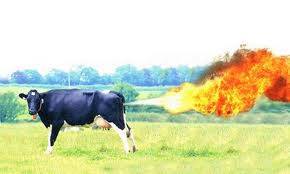 O vaca produce in mod normal de 200 de ori mai multe gaze (vanturi, parturi, basini) decat un om, contribuind astfel la...