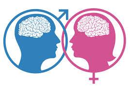 Barbatii si femeile folosesc parti diferite ale creierului pentru a realiza aceleasi sarcini. Femeile se concentreaza pe...