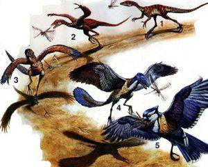 Pasarile se inrudesc cu dinozaurii (se trag din dinozauri). Paleontologii (cei care se ocupa cu studiul organismelor fosile...